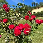 Villino Cecchini * Prunetta