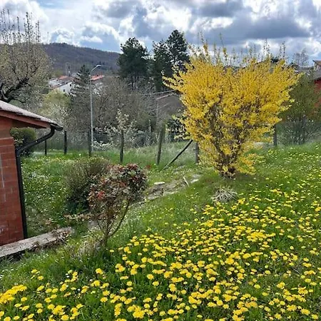 Villino Cecchini * Prunetta