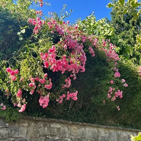Villino Cecchini Villa Prunetta