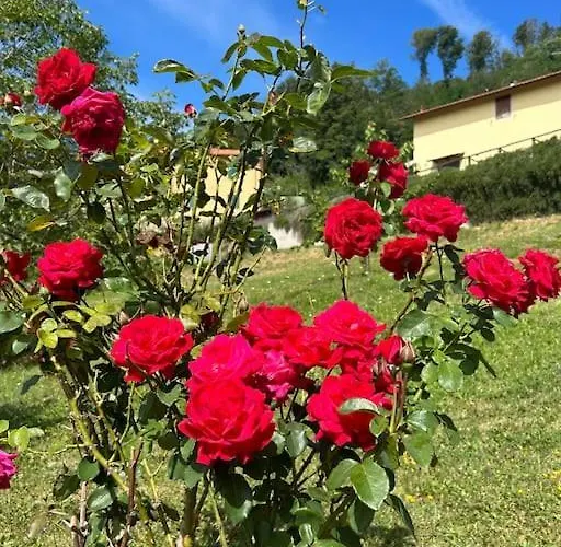 Villino Cecchini * Prunetta