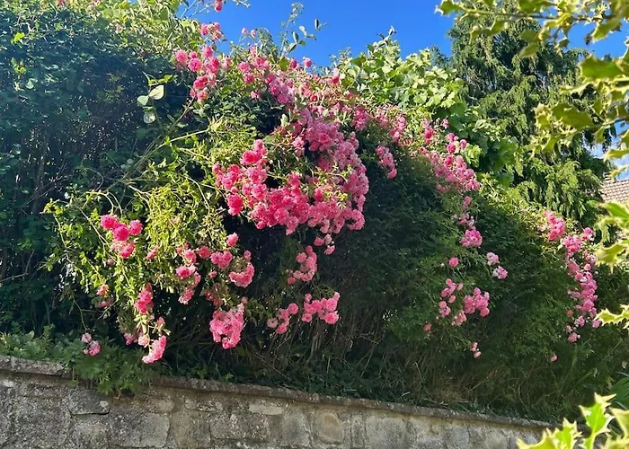 Villino Cecchini Villa Prunetta